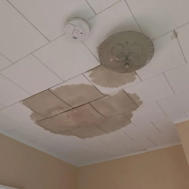 Ceiling Water Damage Repair in Rib Mountain, WI