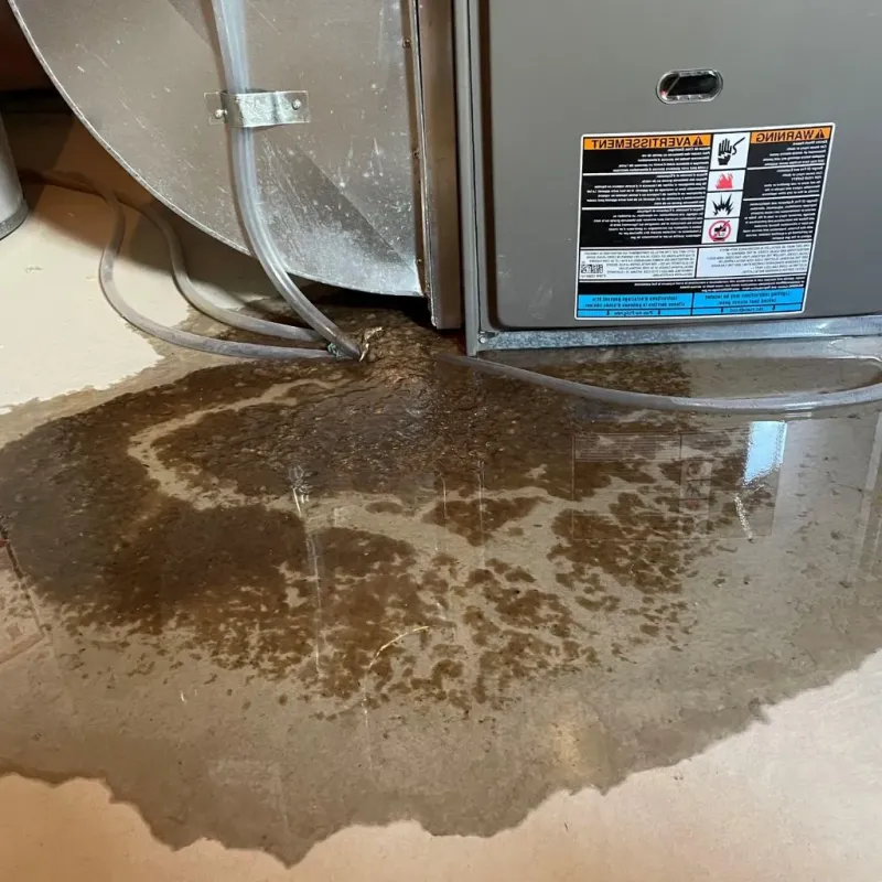Pipe Burst and Leak Restoration in Rib Mountain, WI
